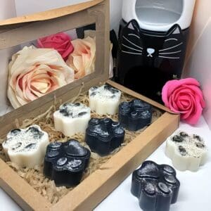 Kitty wax melts gift set. Cute cat lover present. Great Birthday gift set. Pretty cat's feet melt. Small gift in craft box.