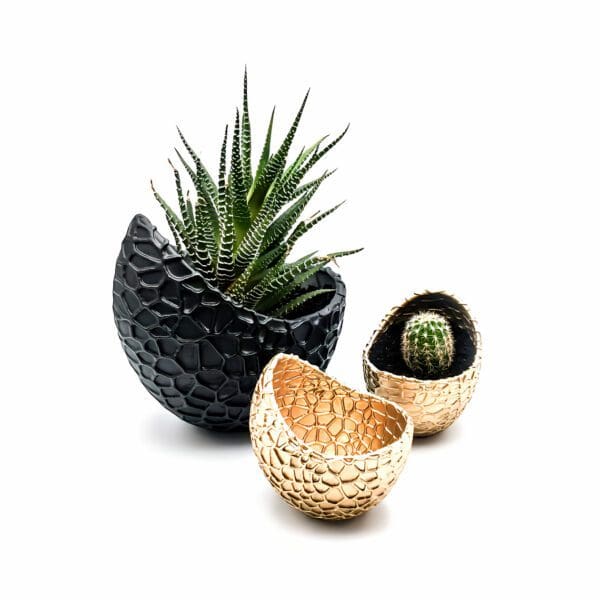 Dragon egg textured planter. 3D printed plant pot. 2 sizes pot for plant. Homemade resin pot. Handmade home decoration.